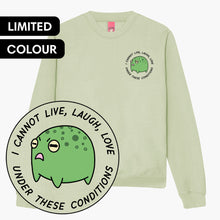 Load image into Gallery viewer, Angry Frog Sweatshirt (Unisex)-Printed Clothing, Printed Sweatshirt, JH030-Sassy Spud