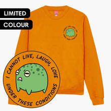 Load image into Gallery viewer, Angry Frog Sweatshirt (Unisex)-Printed Clothing, Printed Sweatshirt, JH030-Sassy Spud